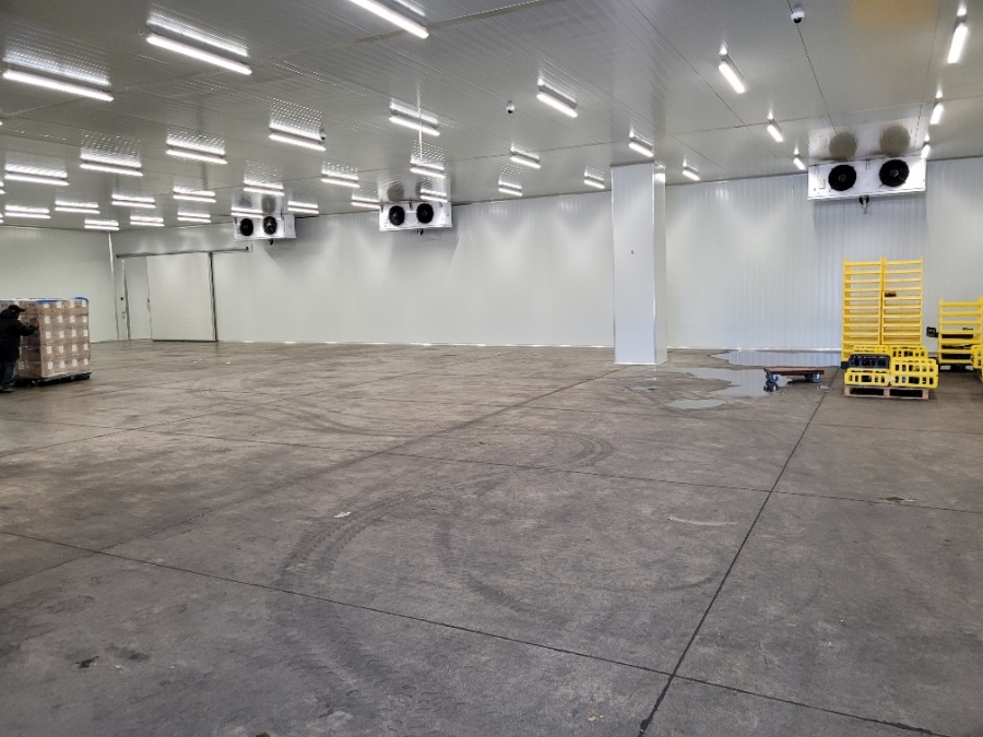 To Let commercial Property for Rent in Montague Gardens Western Cape